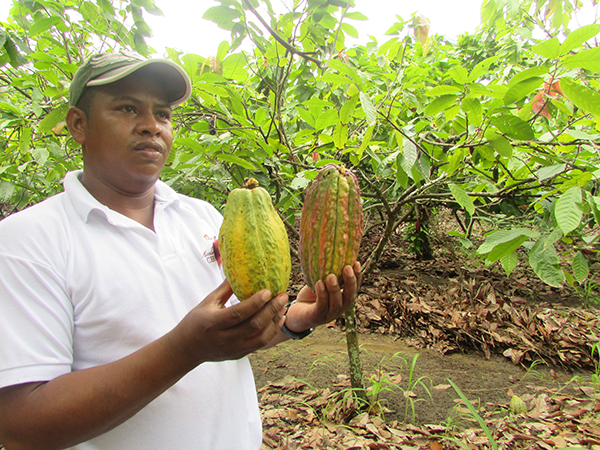 Johnny with Cacao